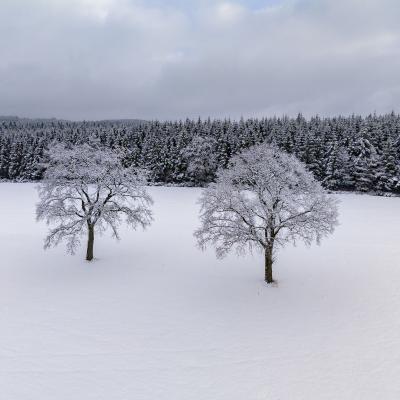 Dji 20240119224146 0040 D Pano Kopie 2